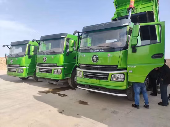 Shacman /H3000/F3000/6X4/8X4 Camión volquete/Camión especial